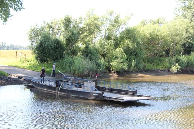 Die historische Prahmfähre muss während der Bauarbeiten zeitweise pausieren | Foto: sb