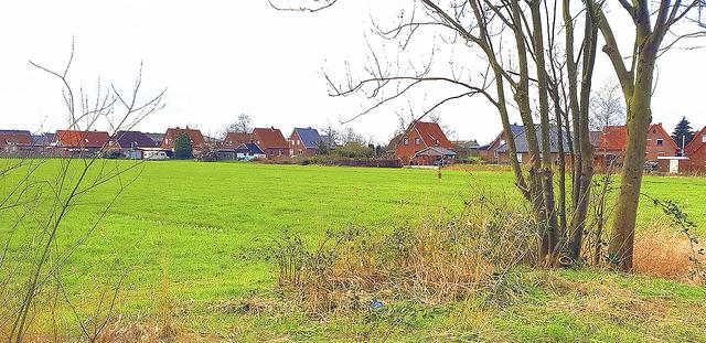 Hier soll der neue Markt entstehen