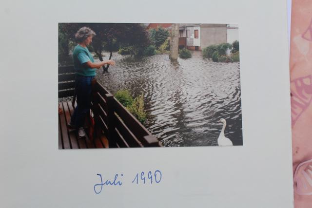 Leben mit der Flut: Im Juli 1990 stand das Wasser so hoch, dass Müllers von der Veranda aus vorbei schwimmende Schwäne füttern konnten | Foto: Müller
