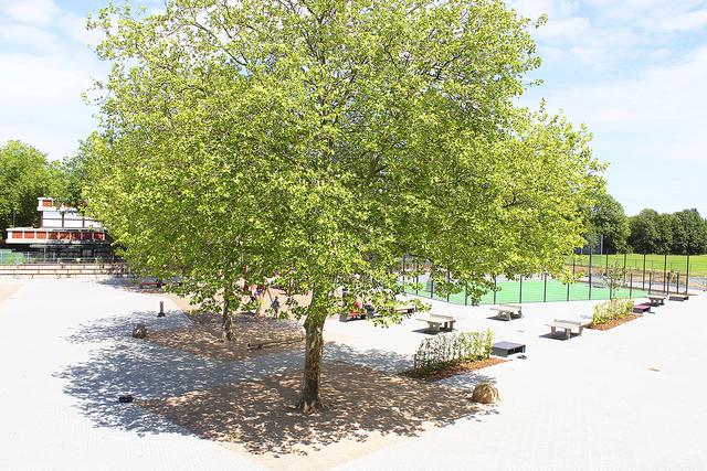 Der alte Baumbestand auf dem neu gestalteten Schulhof wurde erhalten | Foto: sb