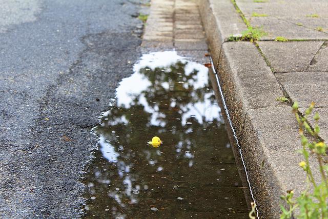 Am Fahrbahnrand sammelt sich das Wasser in Kuhlen und bleibt dort tagelang stehen