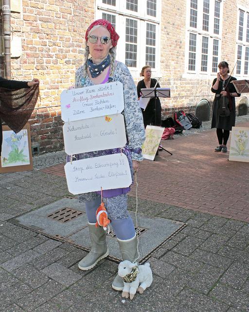 Susanne Oltmanns kam in die Altstadt, um für die Umwelt zu demonstrieren | Foto: jab
