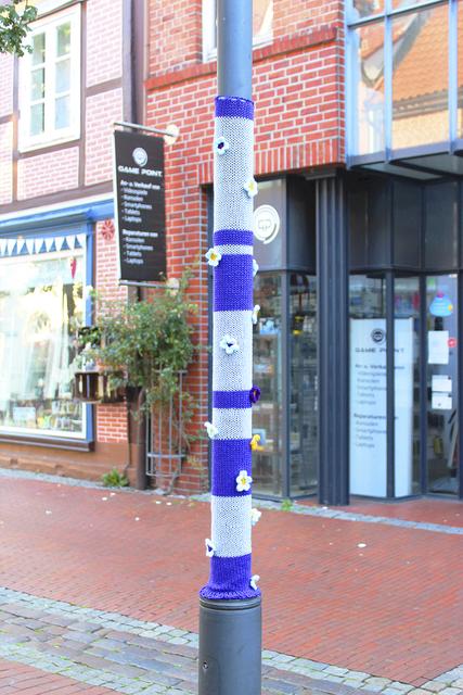 Schlauch mit filigranen Blüten | Foto: sb