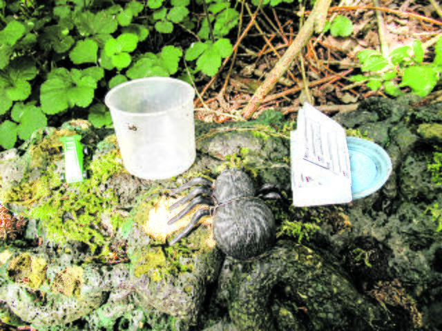 An vorgegebenen Geokoordinaten finden die Teilnehmer ihren "Schatz"  | Foto: tw