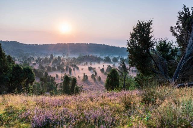 Dennis Karjetta aus Undeloh | Foto: Karjetta