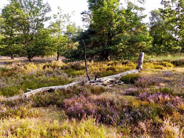 Erika Just | Foto: Just