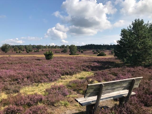 Dr. Frauke Krause aus Rosengarten | Foto: Krause