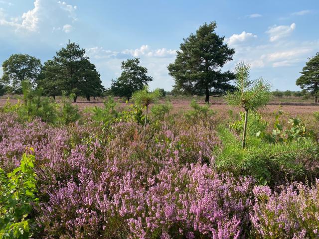 André Lange aus Schneverdingen | Foto: Lange