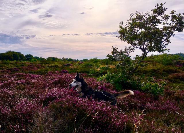 Maren Kenstel aus Buxtehude | Foto: Kenstel