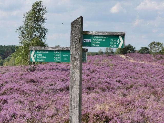 Friedrich Dreyer aus Tostedt | Foto: Dreyer