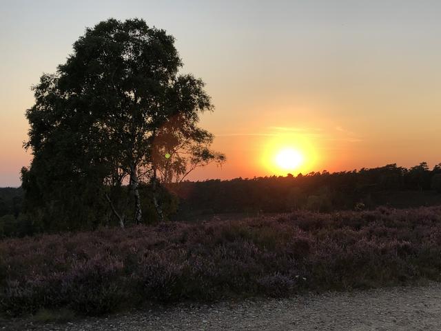 Andrea Winkelbach aus Buchholz | Foto: Andrea Winkelbach