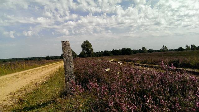 Max Werkmann aus Schneverdingen | Foto: Werkmann