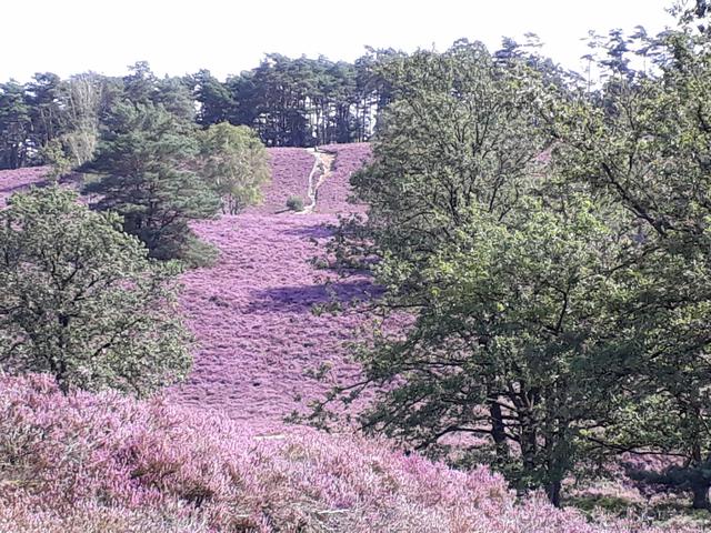 Marion Krüger aus Rosengarten | Foto: Krüger