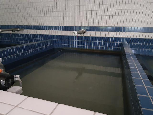 In diesem Becken wird das Wasser ein letztes Mal gefiltert