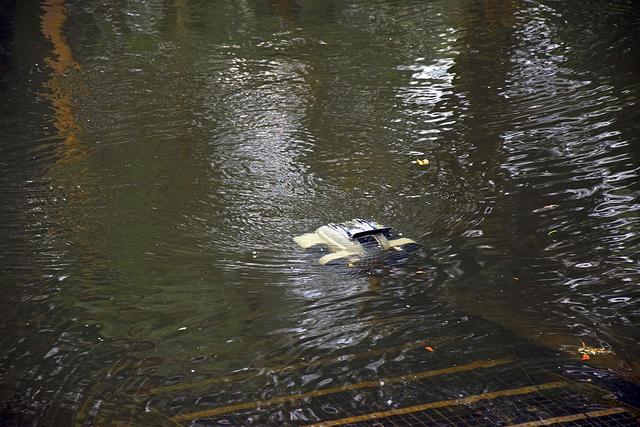 Der Tauchroboter der DLRG Seevetal kommt aus dem Wasser hervor | Foto: ts