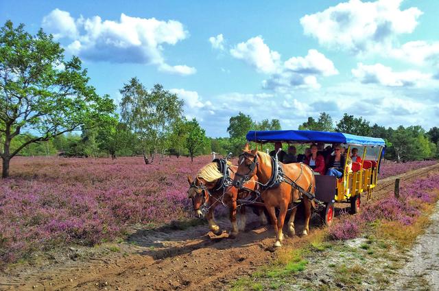 Hans Heel aus Tostedt | Foto: Heel