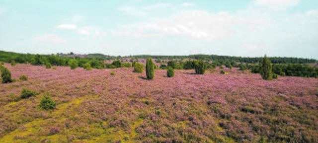 Hasan Rupp aus Löffingen | Foto: Rupp