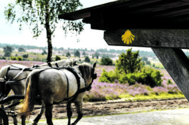 Marie Hessenmöller | Foto: Hessenmöller