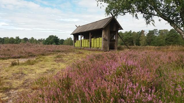 Ilka Teschner aus Harburg | Foto: Teschner