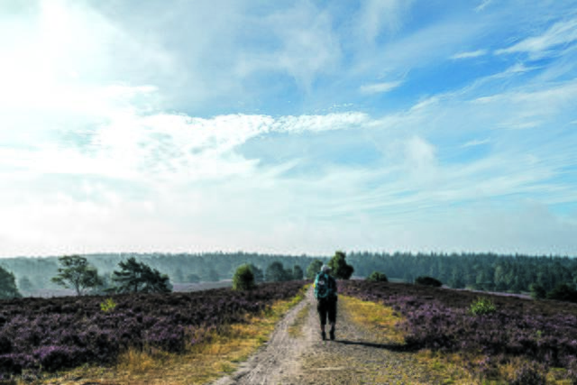 Frank Kettwig aus Buchholz | Foto: fotokettwig