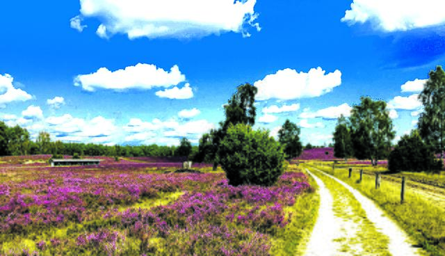 Bernhard von Glahn aus Neu Wulmstorf | Foto: Von Glahn