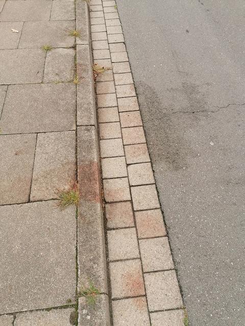 Stumme Zeugen: die Blutspuren der Frau am Straßenrand