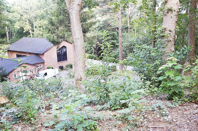 Auf dem Hang oberhalb der Kapelle sollen neue
Urnenbestattungen unter Bäumen angeboten werden