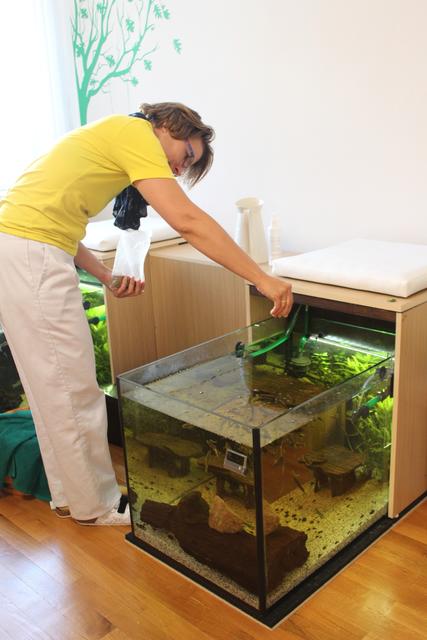 Fütterung der Fische