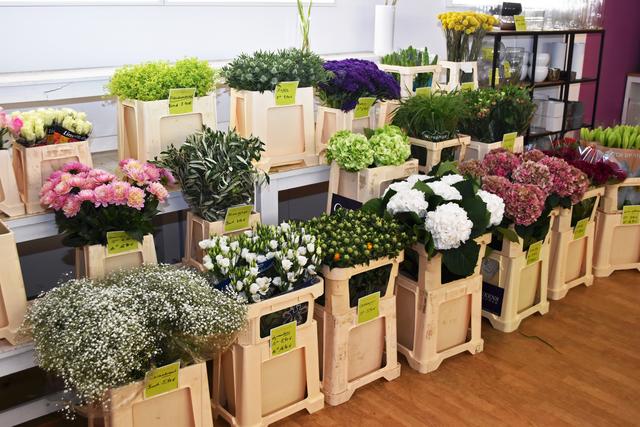 Blumen, Blumen, Blumen: Stets in bester Qualität für 
die Kunden bei "myFlowers" | Foto: Axel-Holger Haase