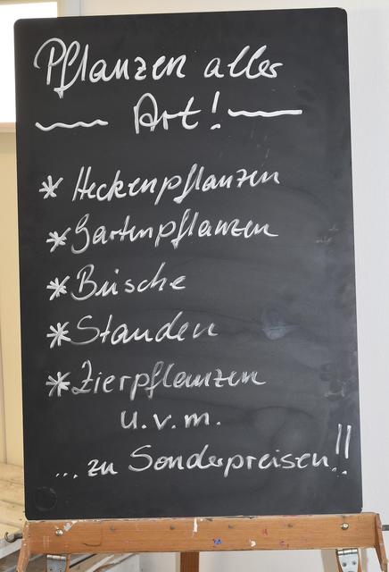 Bei "myFlowers" gibt es nicht nur Blumen. Das Team informiert gerne über das vielfältige Angebot | Foto: Axel-Holger Haase