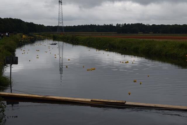 Impressionen: 14. Winsener Entenrennen