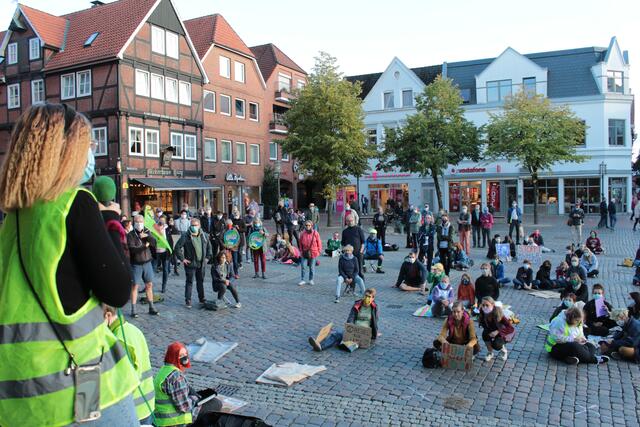 Rund 100 Personen nahmen an der Demo auf dem Pferdemarkt in Stade teil