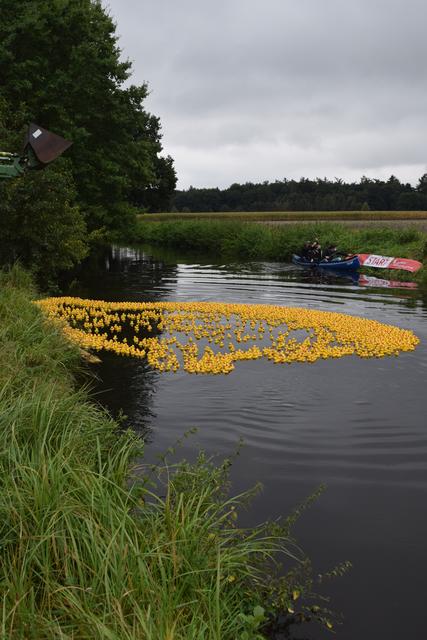 Impressionen: 14. Winsener Entenrennen