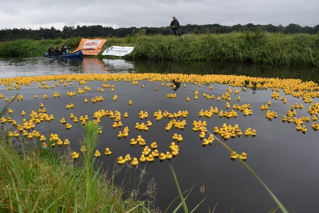 Impressionen: 14. Winsener Entenrennen