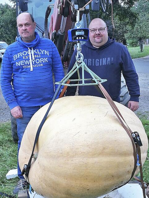 Der schwerste Kürbis mit 268,2 Kilogramm gehörte Martin von Ahn (li.) und Andreas Schläfer