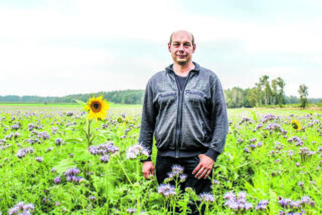 Ein lila-gelb wogendes Meer aus Phacelia, Sonnenblume, Wicke und Co. blüht derzeit in Itzenbüttel. Auf einer Fläche von insgesamt 13 Hektar hat Landwirt Christoph Heitmann die insektfreundlichen Blüher ausgesät. "Oft wird behauptet, dass wir nichts für die Umwelt tun. Das stimmt nicht!" stellt Heitmann klar. Es sei eine Win-win-Situation: Die Insekten erhalten Nahrung und die Pflanzen sind eine natürliche Bodenkur für sein Feld
