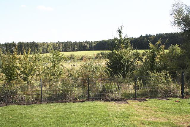Im benachbarten Obstgarten können die Kinder Naturerfahrungen sammeln
