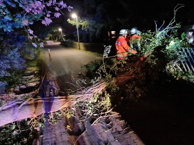 In Maschen musste die Feuerwehr einen umgestürzten Baum beseitigen