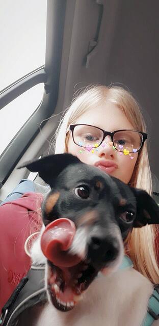 Nora Calin aus Buchholz mit ihrem Terriermix  "Dino" (2) | Foto: Nora Calin