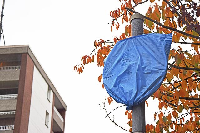 Kein Streich, sondern amtlich angeordnet: Plastik verhüllt eines der neu aufgestellten Tempo-30-Verkehrszeichen an der Glüsinger Straße
