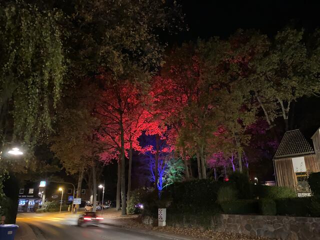 Foto: von der Lieth