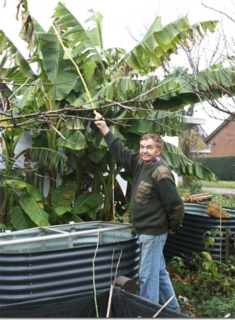 Auch das Exemplar aus dem Garten von Lutz Börner kann sich sehen lassen