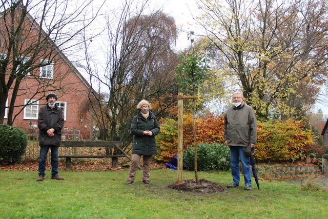 Als Zeichen für die Nachhaltigkeit wurde bei der Eröffnung des Bökertuuns auch ein Apfelbaum, gespendet von Hans-Peter Petersen (rechts) gepflanzt. Hartmut Müller, erster Vorsitzender des HKV, hielt die Eröffnungsrede, Undeloher Autorin Elke Stoll hatte die ursprüngliche Idee für den Bücherschrank.