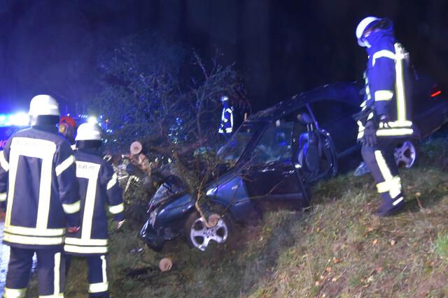 Der Baum begrub den Frontbereich des Autos unter sich
