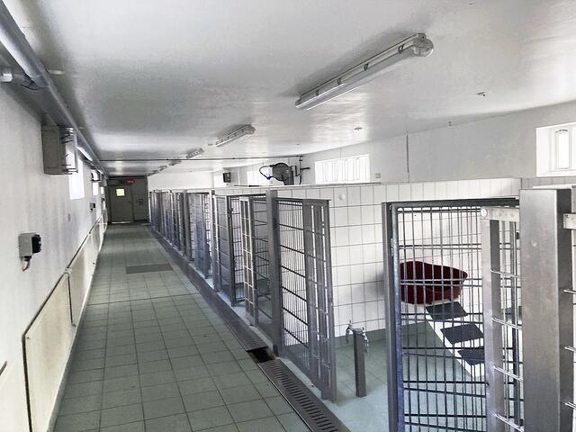 Die in der ehemaligen Tierversuchsanlage 
vorhandenen Haltungseinrichtungen sollen als Auffangstation für Fundtiere dienen  | Foto: LPT