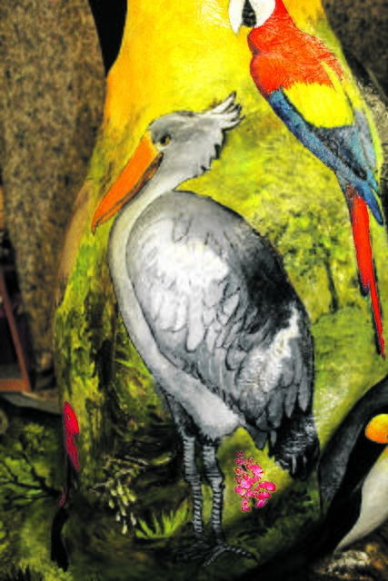 Der Afrikanische Schuhschnabel ist Geigers Lieblingsvogel Fotos (5): as