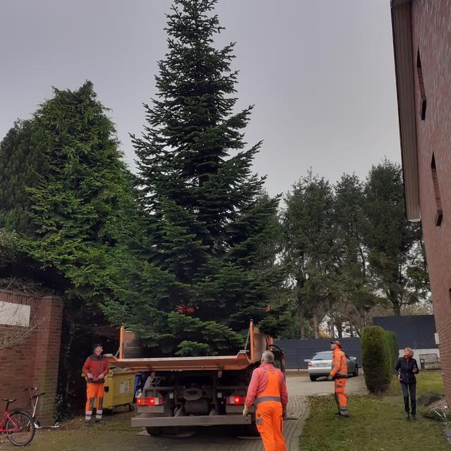 Die Mitarbeiter des Bauhofs haben die neun Meter Tanne bei Familie Zerver abgeholt | Foto: Möhrmann