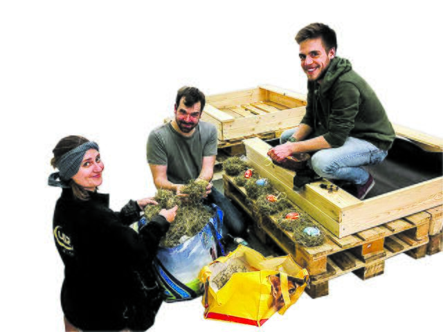 Mitarbeiter der 412 Events bauen Nester zum Osterfest - und haben unübersehbar Freude bei der Arbeit