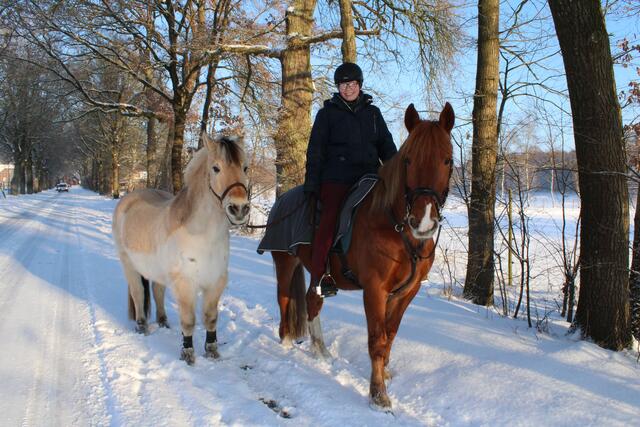Ausritt im Schnee: Annika Suhr