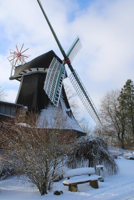 Malerisch: die Windmühle in Dibbersen